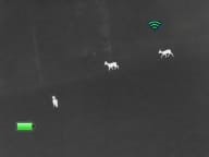 Diese Abbildung zeigt ein gut differenziertes Bild trotz kalter Umgebungstemperatur bei wenig Luftfeuchtigkeit